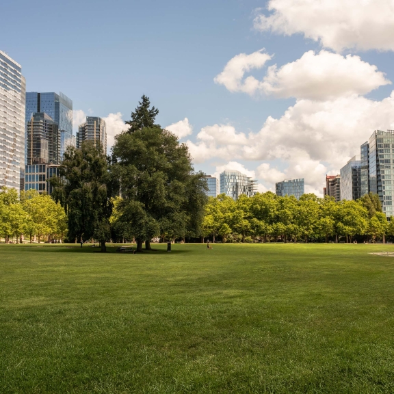 Expansive green lawn at Bellevue Downtown Park near Park Row luxury condos framed by trees and modern high-rise towers.